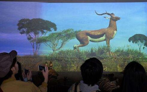 广州VR动物园正式开放 可在虚拟世界与动物互动2