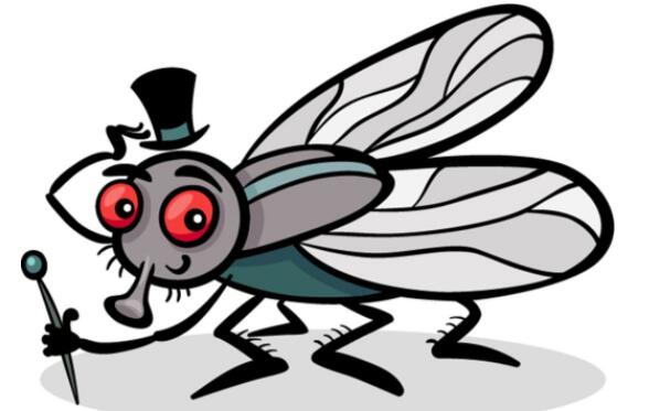 蚊子可迅速避开厌恶气味 可研发出高效控蚊工具