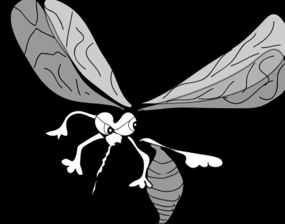 蚊子可迅速避开厌恶气味 可研发出高效控蚊工具2