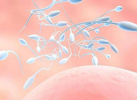 英科学家言论引热议 皮肤细胞可造卵子精子？