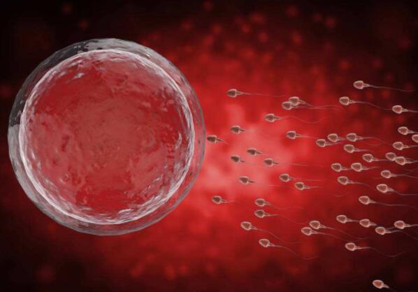 英科学家言论引热议 皮肤细胞可造卵子精子？2
