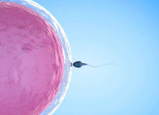 英科学家言论引热议 皮肤细胞可造卵子精子？3