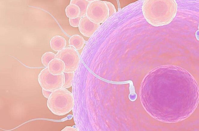 英科学家言论引热议 皮肤细胞可造卵子精子？4