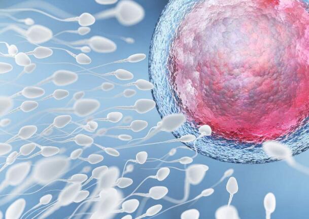 英科学家言论引热议 皮肤细胞可造卵子精子？5